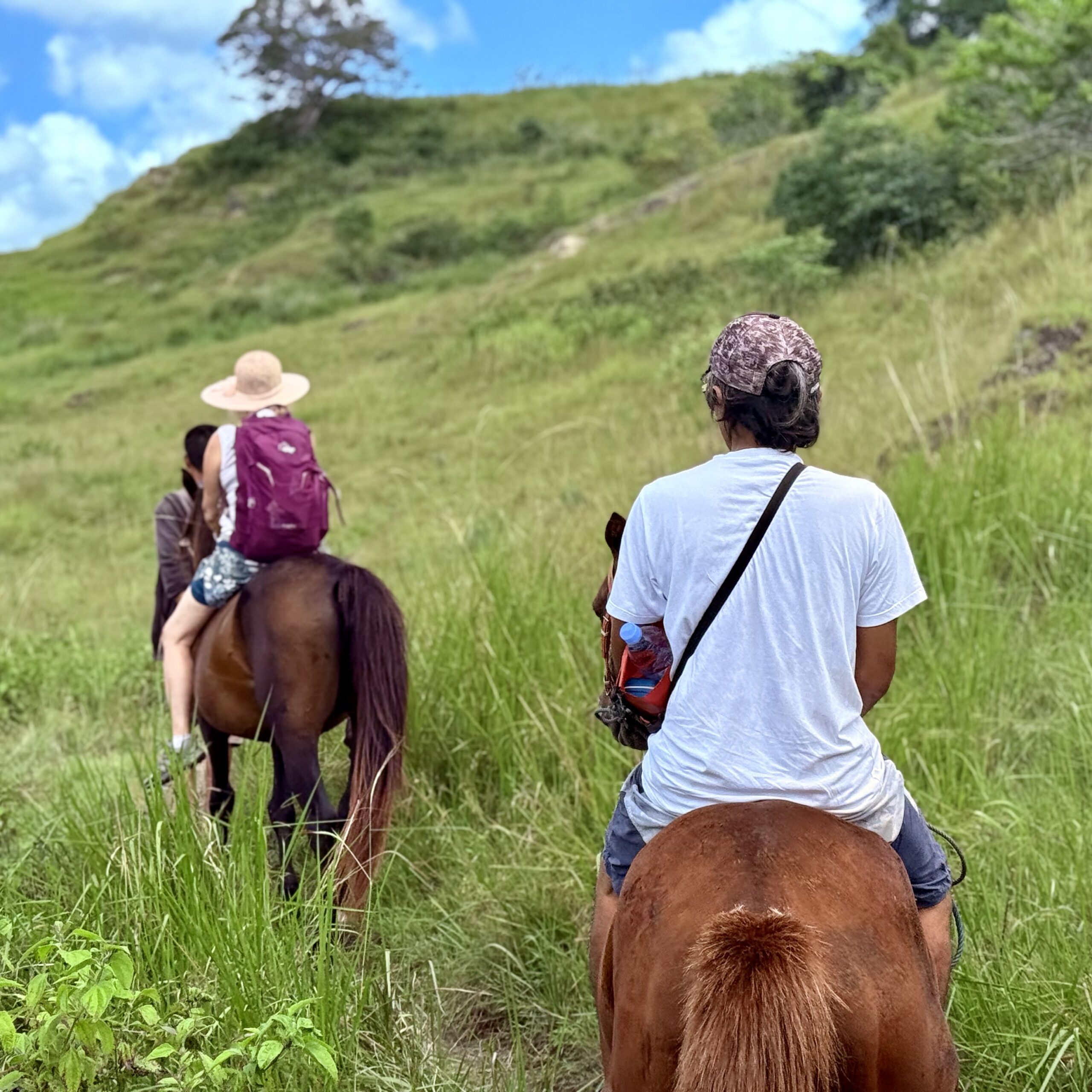 Balade à cheval à Sumba avec The World of Sumba - immersion dans la nature sauvage et les collines luxuriantes de l'île indonésienne