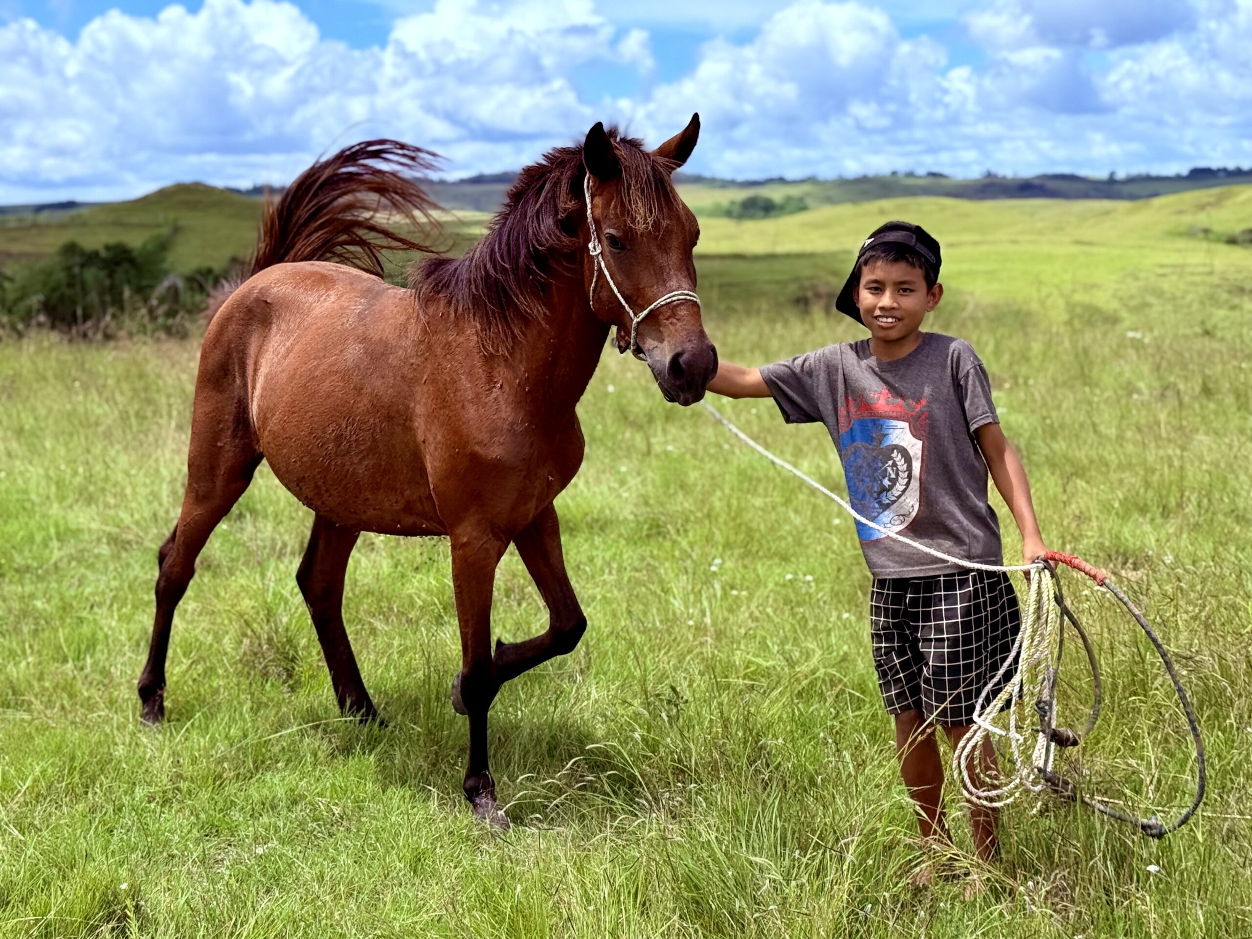 Jeune garçon de Sumba tenant un cheval dans une prairie verdoyante.