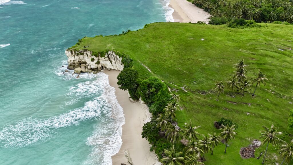 Vue aérienne d'une côte sauvage de Sumba avec falaises, plage de sable blanc et prairie verdoyante bordée de cocotiers.