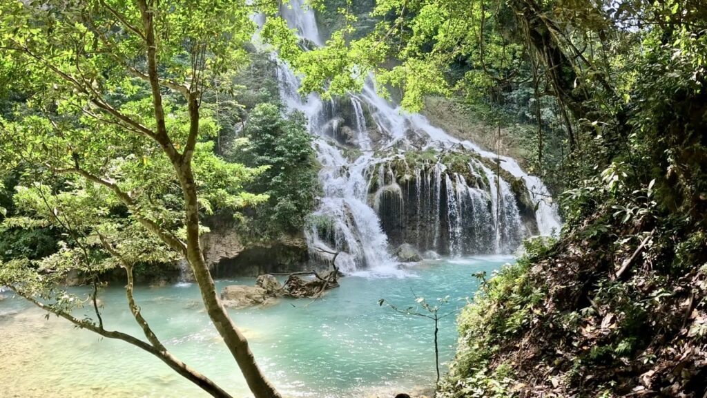 15f99c8e-679f-42dc-aaba-a663d011d6d9