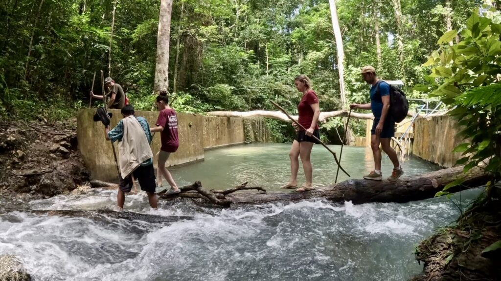 7041d633-4c9c-4bbb-9343-e40131058e68