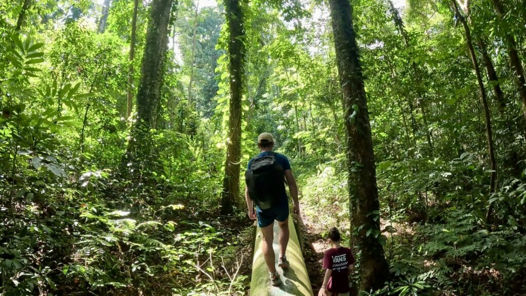 d6408422-5d70-40b6-8b1d-2514451a6454